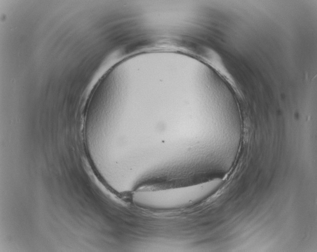 X0000060811484200512082202