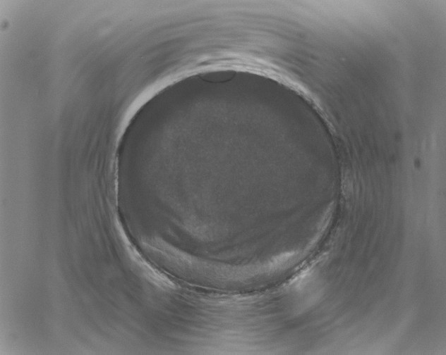 X0000060811522200512082202