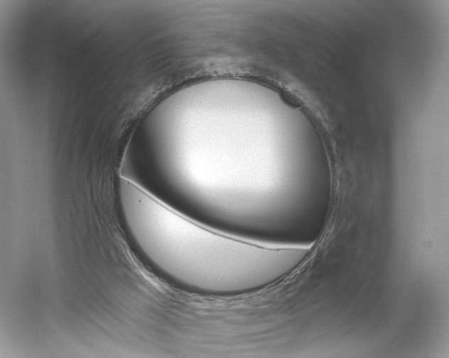 X0000061100009200511180920