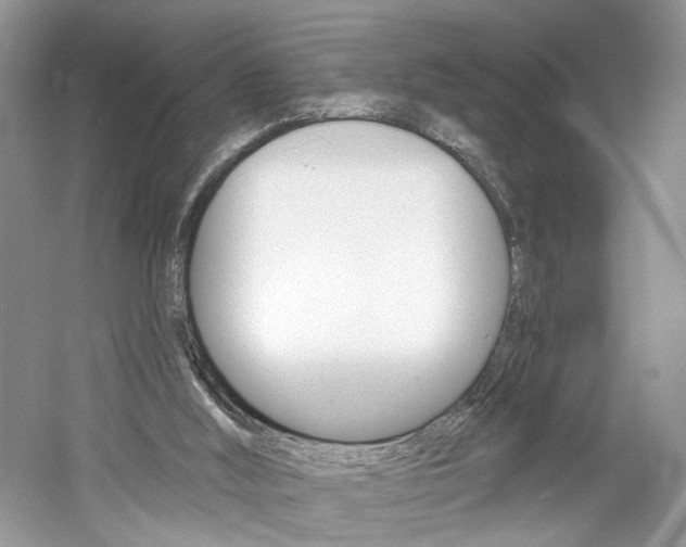 X0000061100012200511180920
