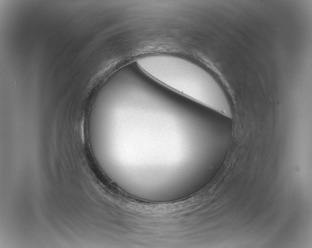 X0000061100019200511180920
