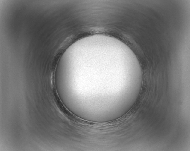 X0000061100024200511180920