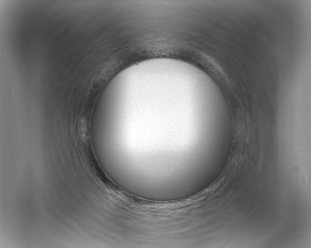 X0000061100025200511180920