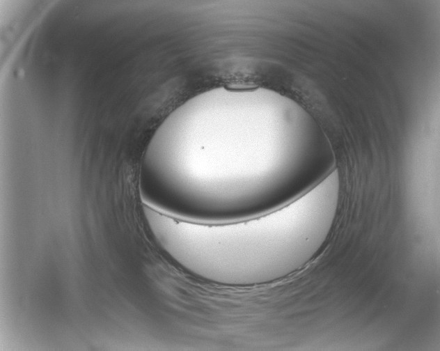 X0000061100037200511180919