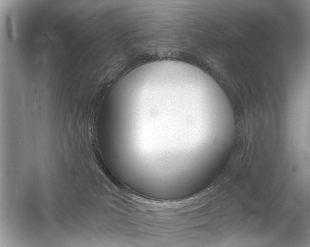 X0000061100039200511180919