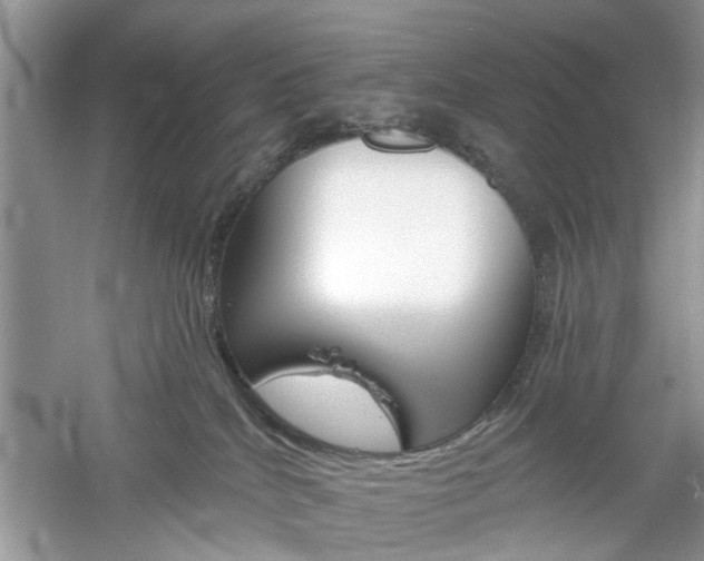 X0000061100040200511180919