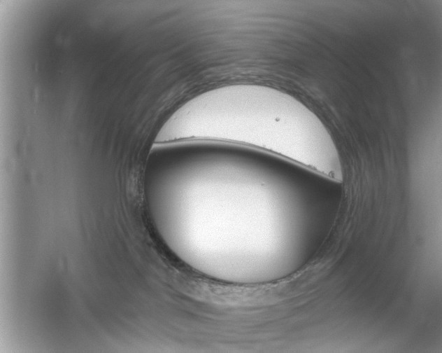 X0000061100044200511180919