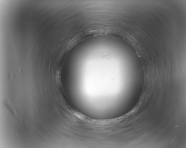 X0000061100045200511180919