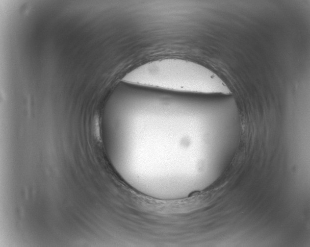 X0000061100046200511180919