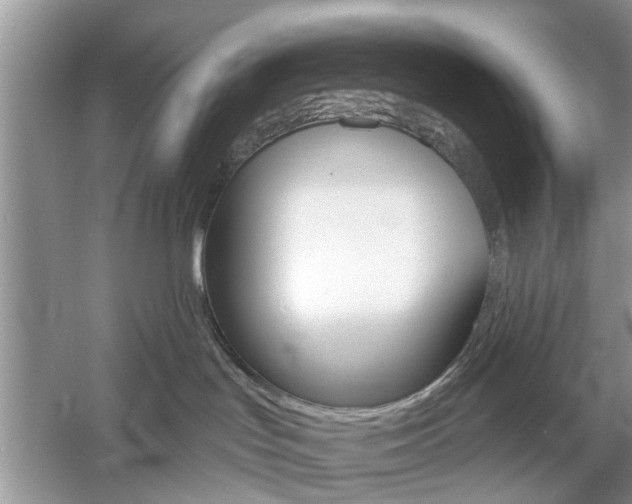 X0000061100047200511180919