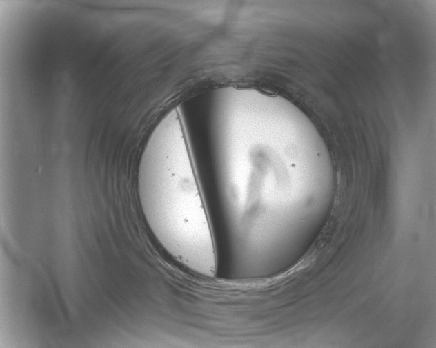 X0000061100048200511180919