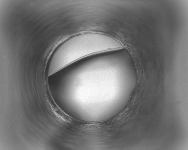 X0000061100050200511180918