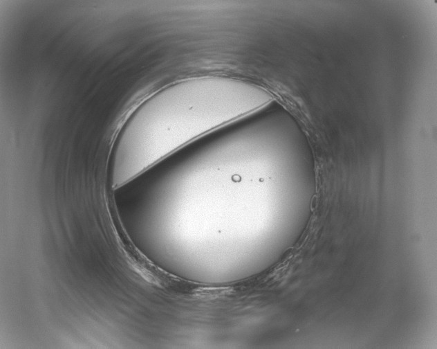 X0000061100051200511180918