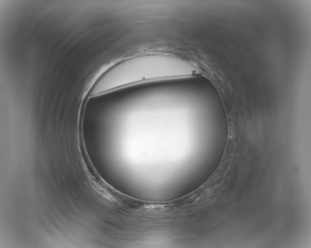X0000061100052200511180918