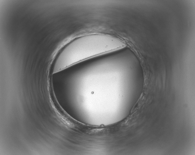 X0000061100054200511180918