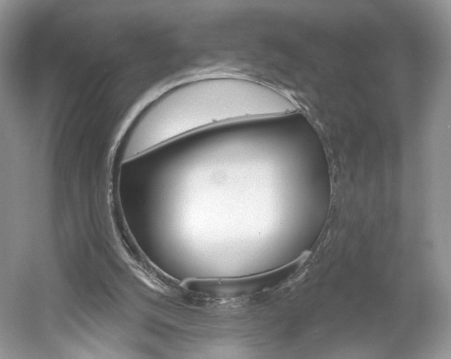 X0000061100056200511180918