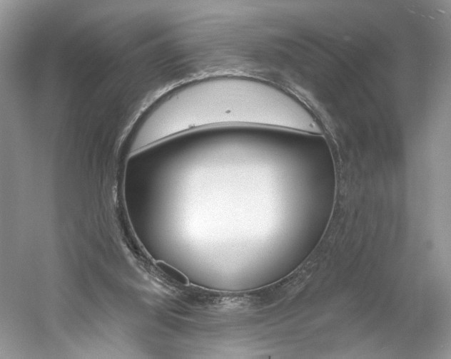 X0000061100060200511180919