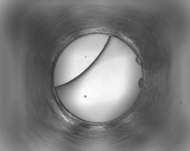 X0000061100061200511180919