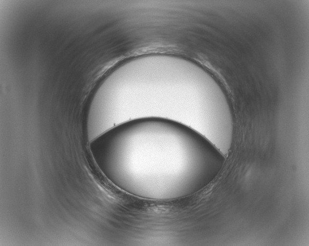 X0000061100062200511180919