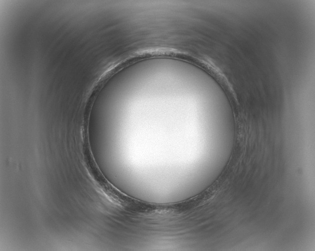 X0000061100063200511180919