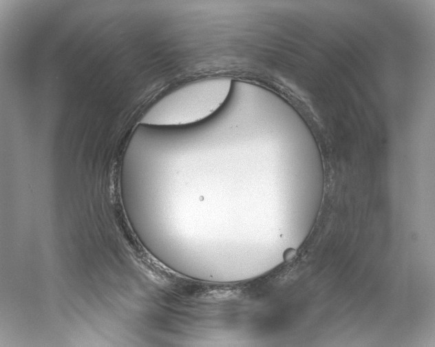 X0000061100065200511180919