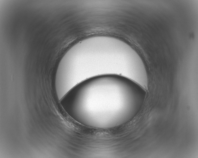 X0000061100066200511180919