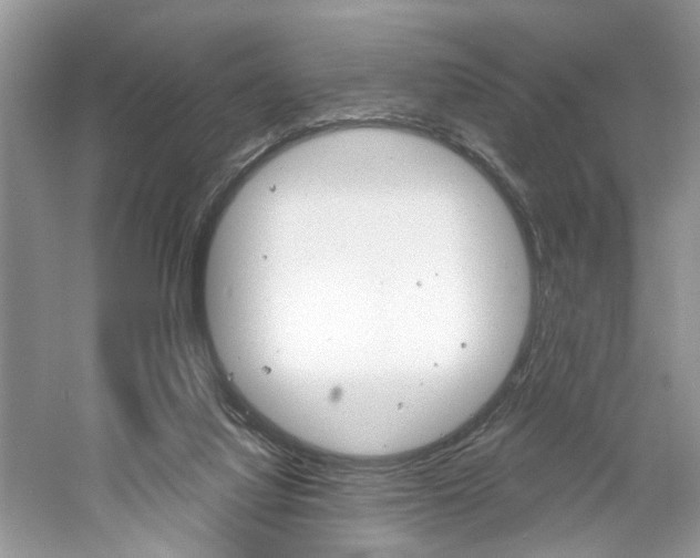 X0000061100068200511180919