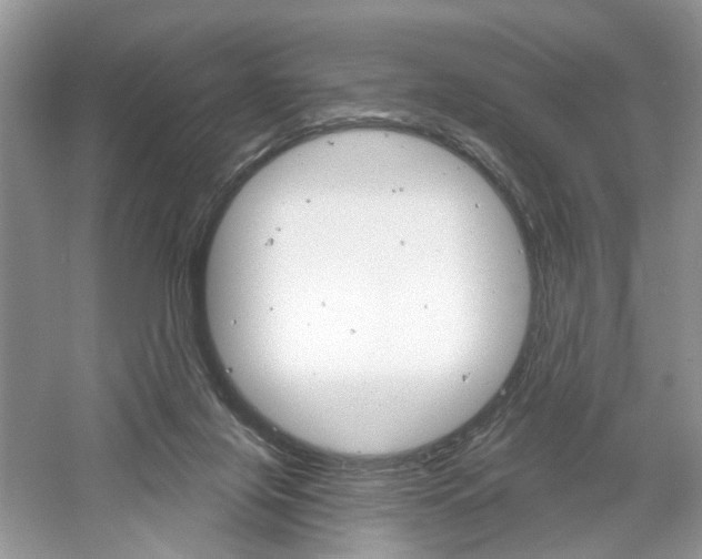 X0000061100071200511180919