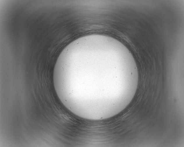 X0000061100073200511180919