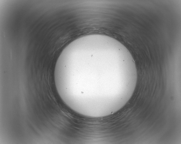 X0000061100080200511180919