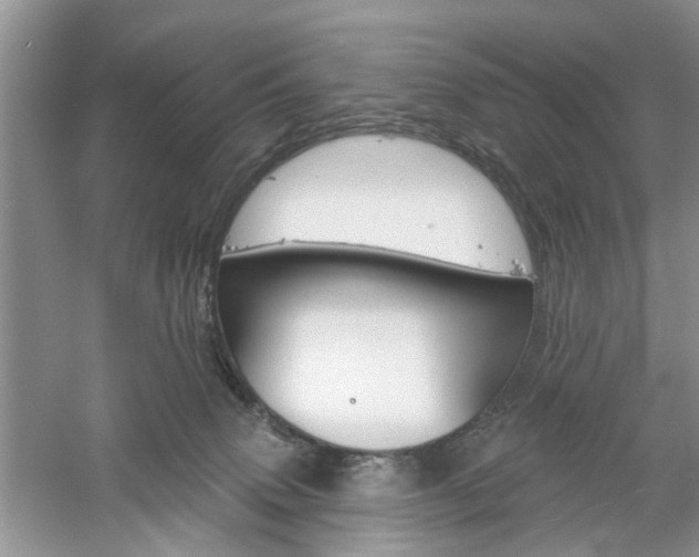 X0000061100083200511180919