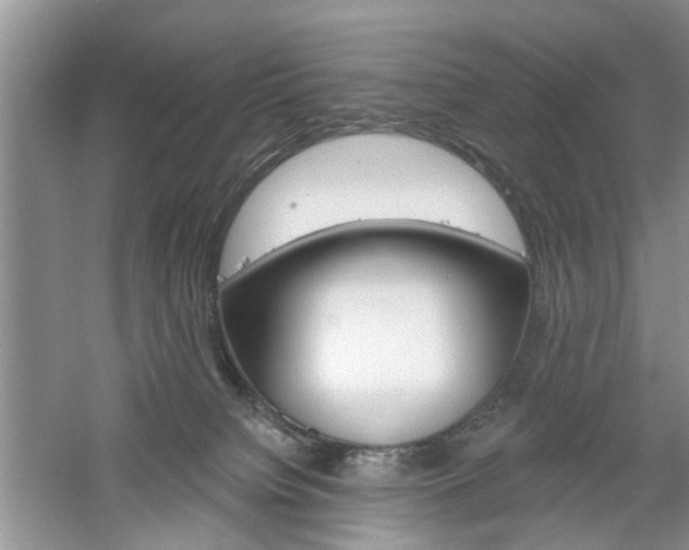 X0000061100084200511180919