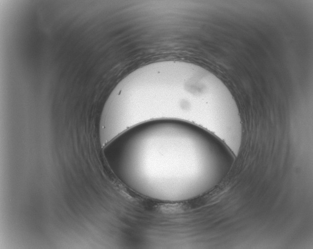 X0000061100085200511180919