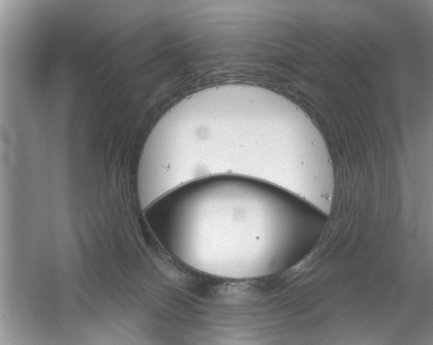 X0000061100086200511180919