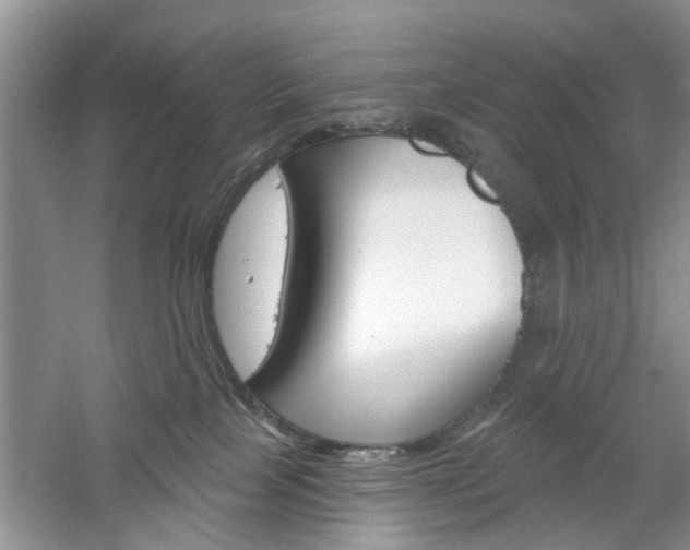 X0000061100089200511180919