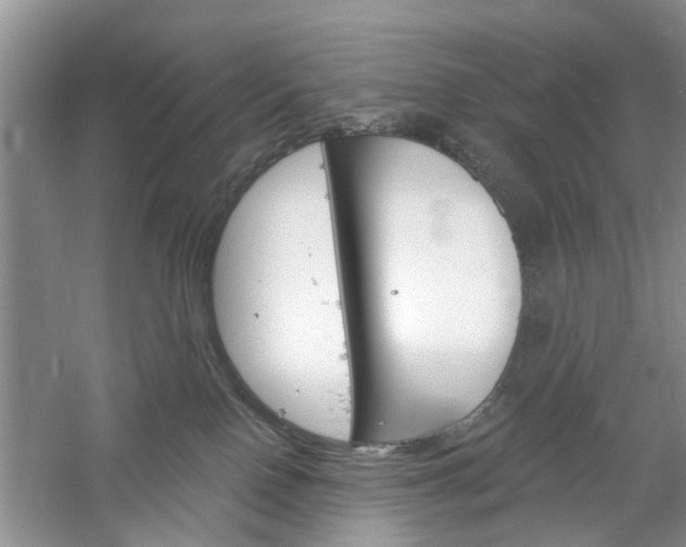 X0000061100090200511180919