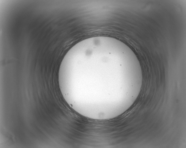 X0000061100096200511180919