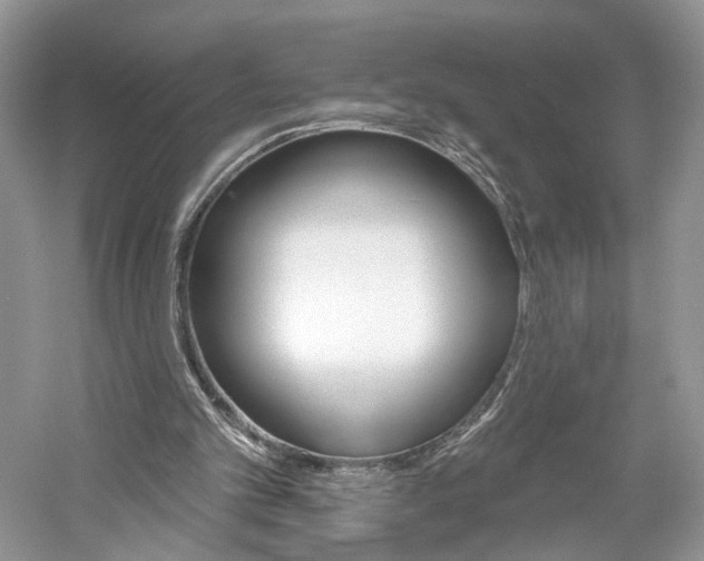 X0000061100101200511180918