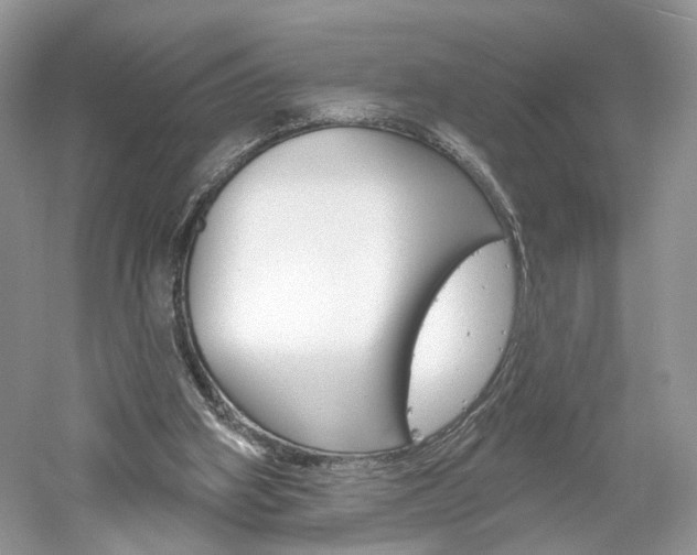 X0000061100106200511180918