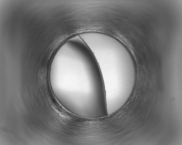 X0000061100107200511180918