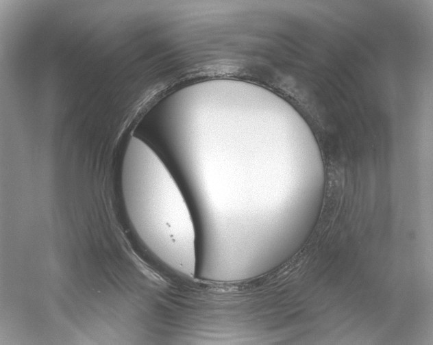 X0000061100110200511180918