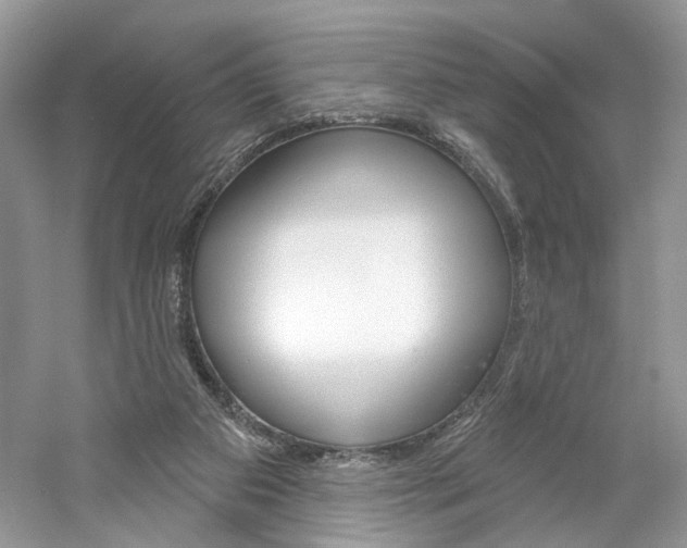 X0000061100113200511180918