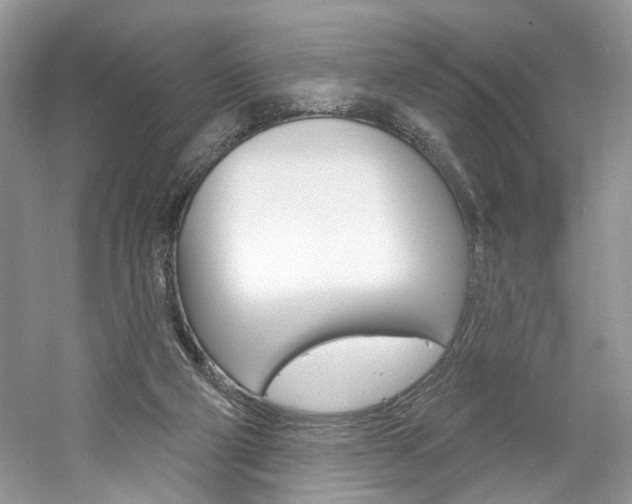 X0000061100114200511180918