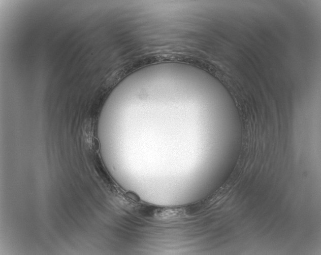 X0000061100129200511180918