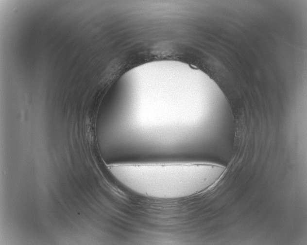 X0000061100136200511180918