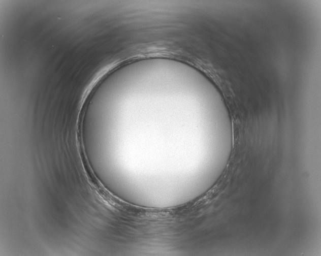X0000061100147200511180917