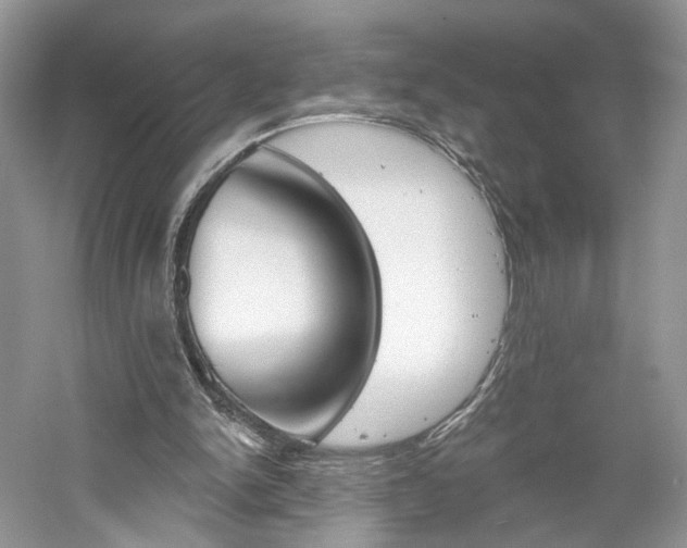 X0000061100150200511180917