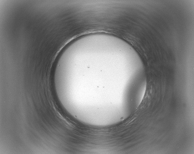 X0000061100156200511180917