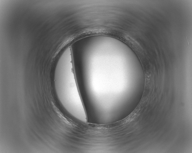X0000061100158200511180917