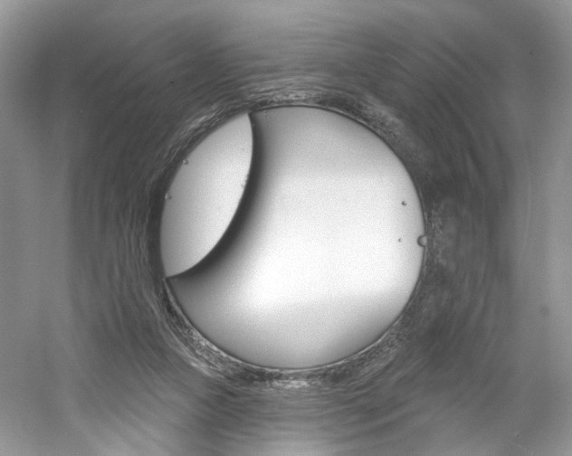 X0000061100161200511180917
